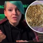 Kuidas valida haljasväetist ja üllatada naabreid saagiga: aednik andis tõhusat nõu Kuidas valida haljasväetist ja üllatada naabreid saagiga: aednik andis tõhusat