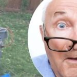 Kummaline avastus puu lähedal jättis naabri hämmingusse: millist saladust ta varjas? Kummaline avastus puu lähedal jättis naabri hämmingusse: millist saladust ta