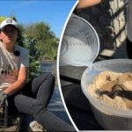 Lihtne vanaaegne meetod: aednik rääkis, kuidas porgandit kevadeni värskena hoida