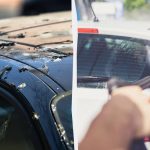 Linnud ei hakka enam autode kallal jama: siin on see,