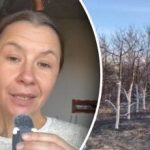 Põhjus, mida teavad vaid vähesed: milleks puid sügisel valgendada?