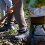 Septembri 2025 külvikalender: mida on vaja aias teha