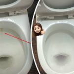 Üks toode valgendab teti läikima: kuidas 15 minutiga toime tulla