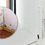 Keemia võid unustada: lihtne looduslik vahend hävitab hallituse koheselt